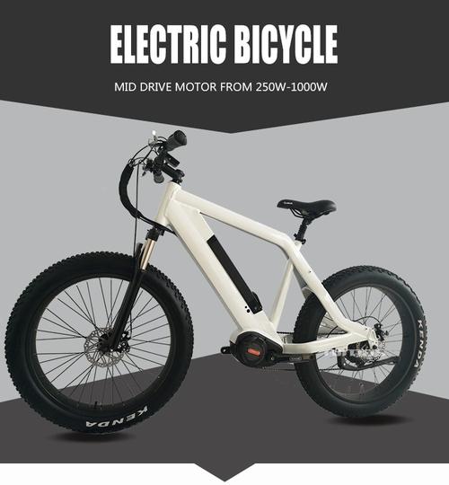 代工 产地 江苏常州 认证 ce,en15194 电动自行车电机 类型 无刷,轮毂